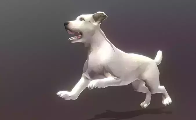 LABRADOR DOG RUN Fbx Pbr Animated