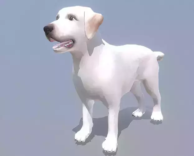 LABRADOR HAPPY DOG Fbx Pbr  Animated