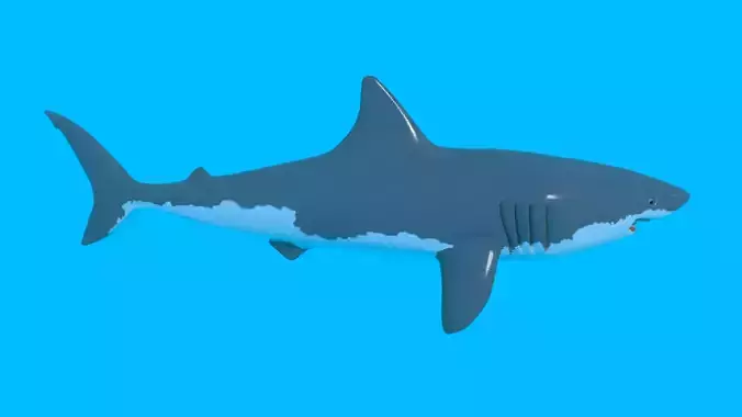 Great White Shark BLEND OBJ FBX DAE GLB