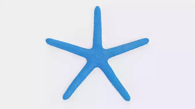Blue Starfish - Linckia Laevigata Sea Star