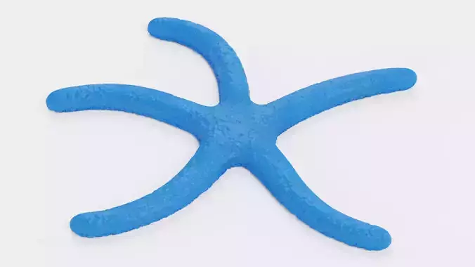 -Blue Stafish - Linckia Laevigata Rigged-