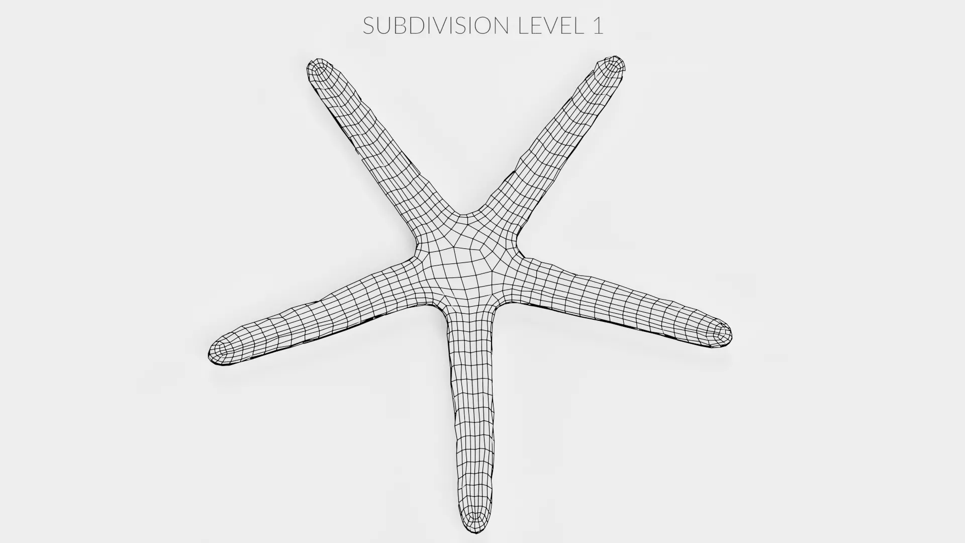 -Blue Stafish - Linckia Laevigata Rigged- 3D model_15