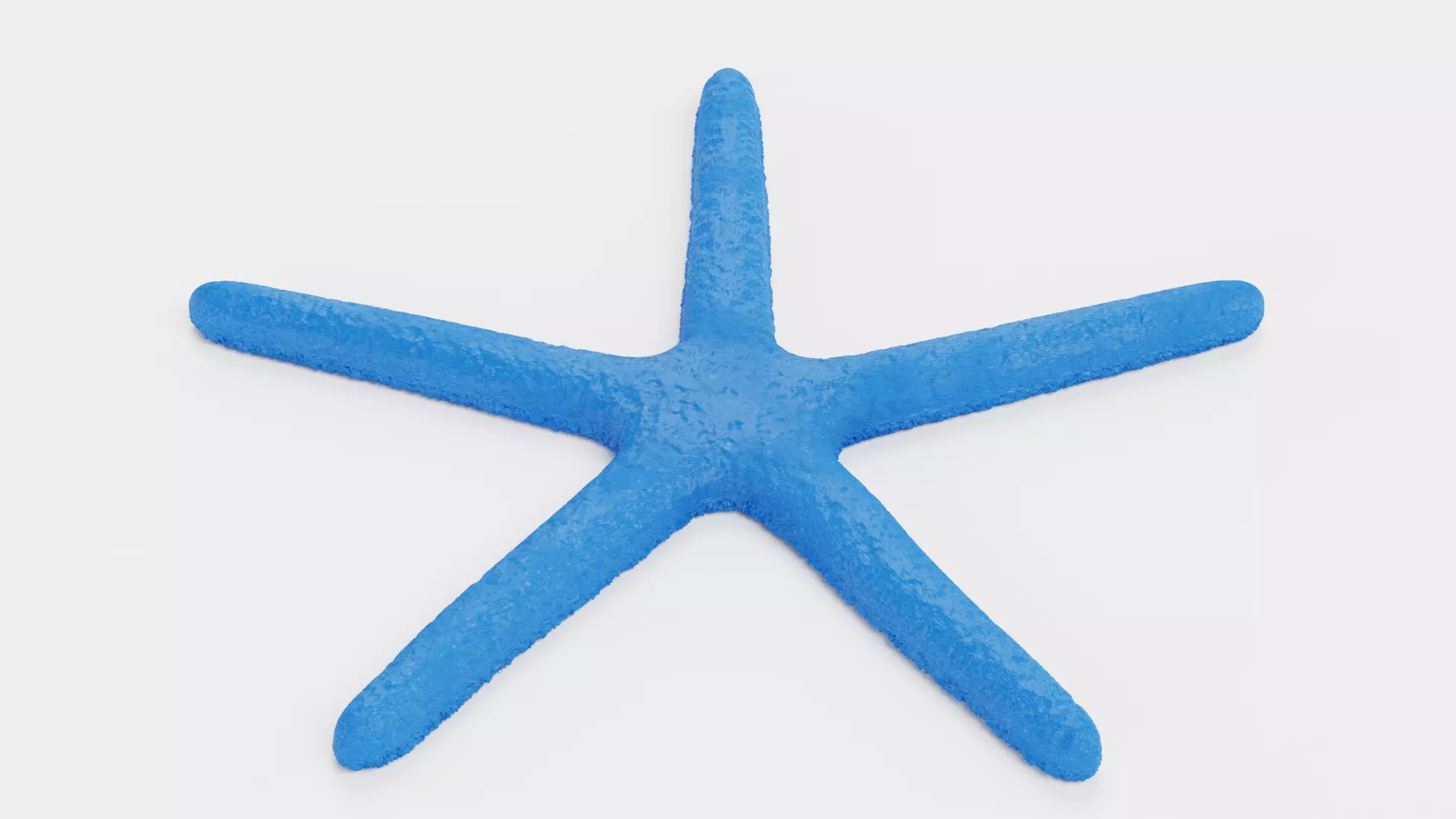 -Blue Stafish - Linckia Laevigata Rigged- 3D model_7