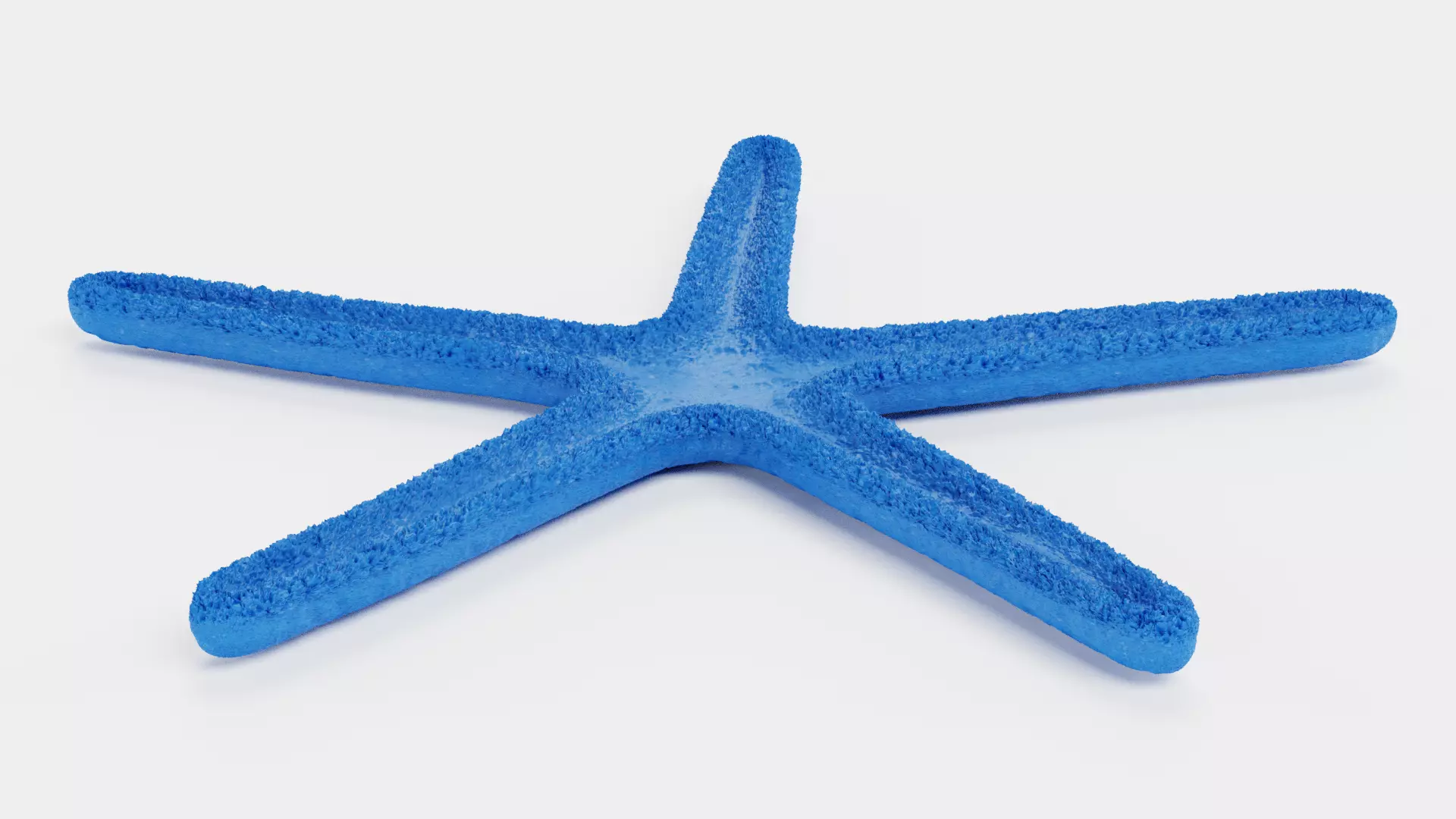 -Blue Stafish - Linckia Laevigata Rigged- 3D model_6