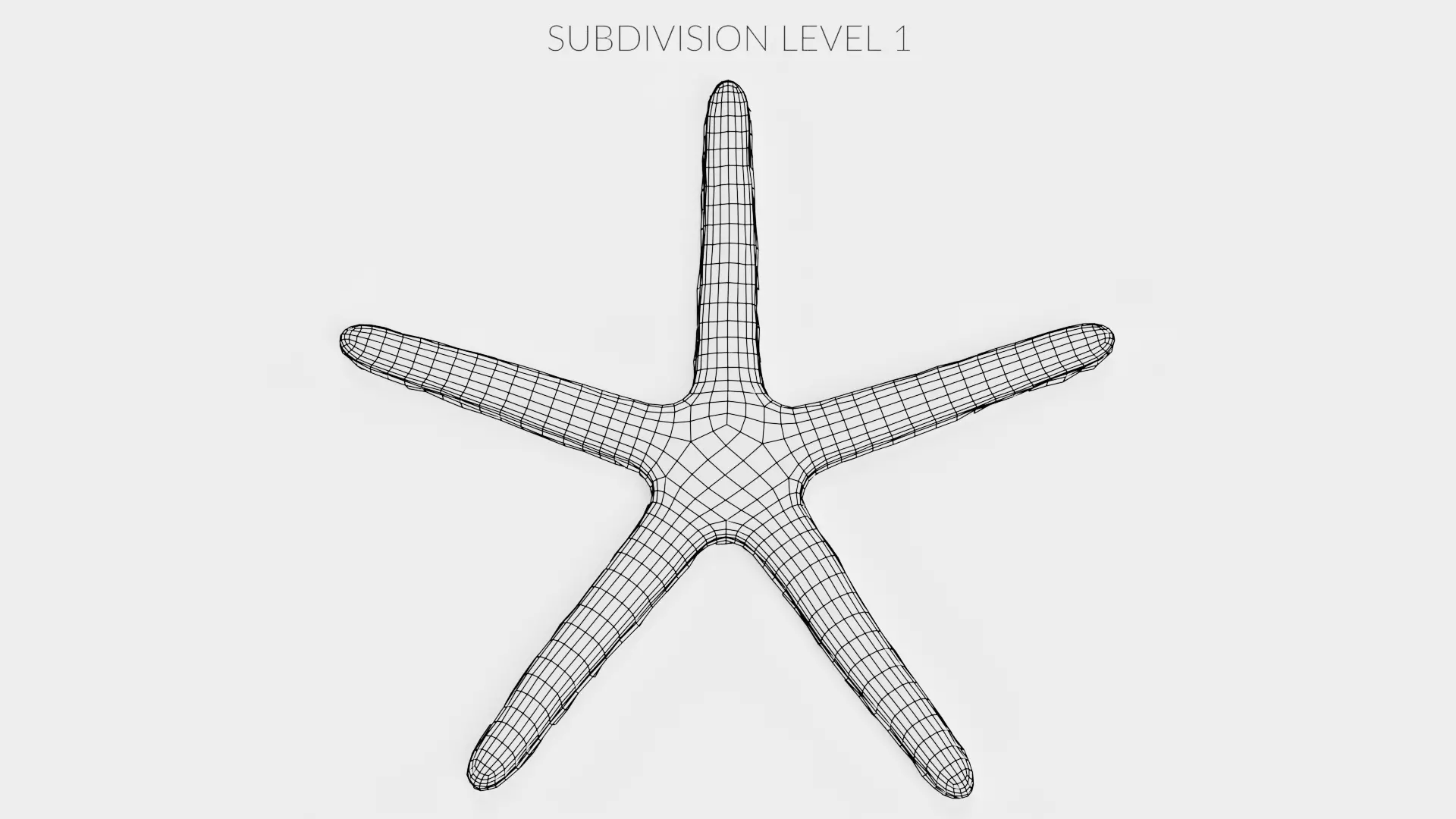 -Blue Stafish - Linckia Laevigata Rigged- 3D model_13