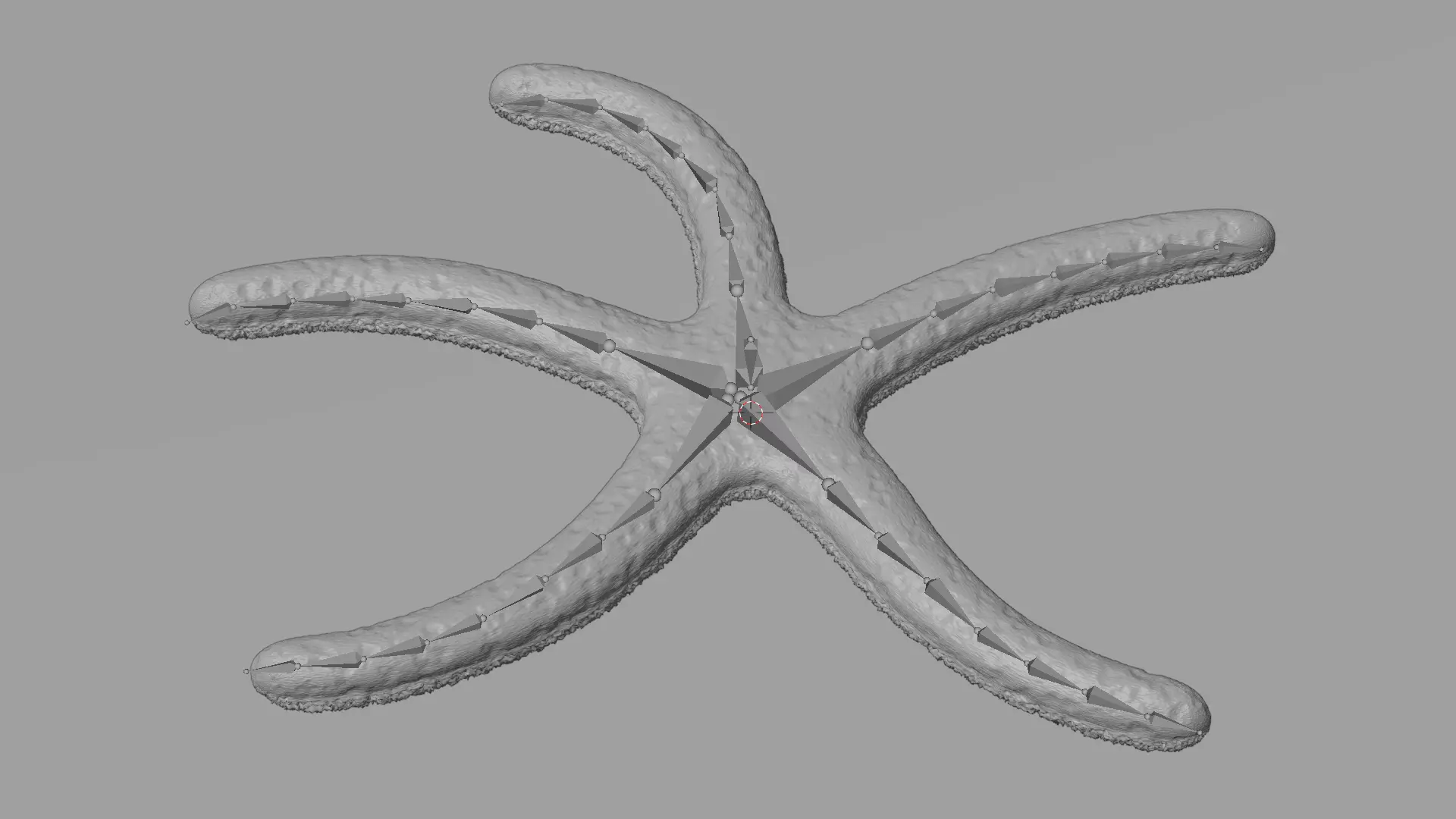 -Blue Stafish - Linckia Laevigata Rigged- 3D model_2