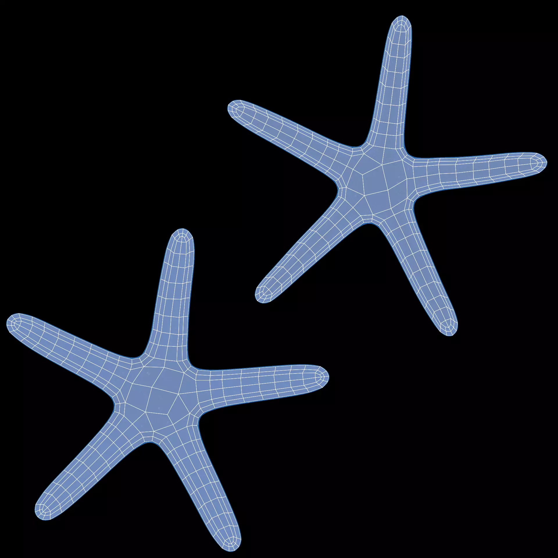 -Blue Stafish - Linckia Laevigata Rigged- 3D model_10