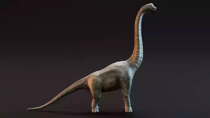 Brachiosaurus - Realistic Dinosaur