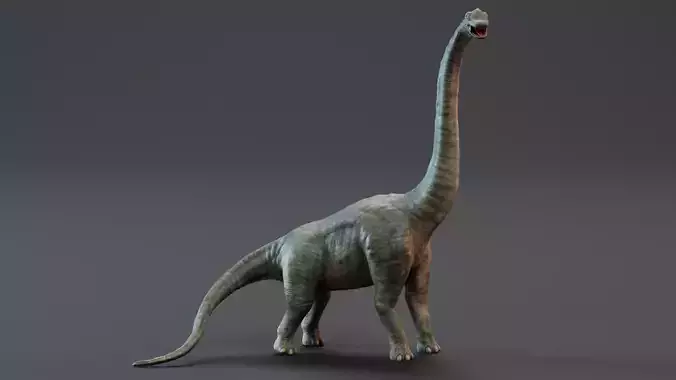 -Brachiosaurus - Rigged-