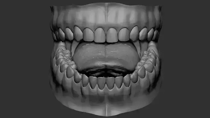Hyper-realistic 3D mouth
