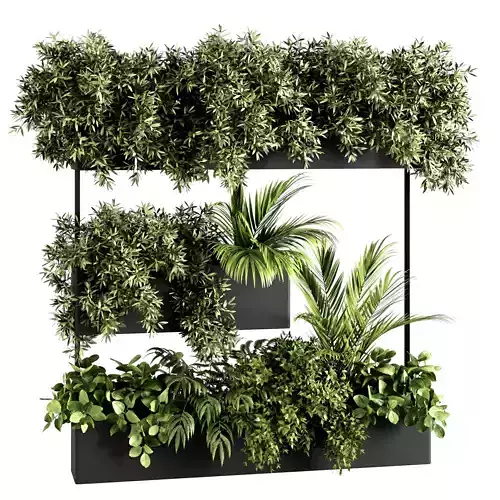 Indoor plants- Plants in stand Box- set179