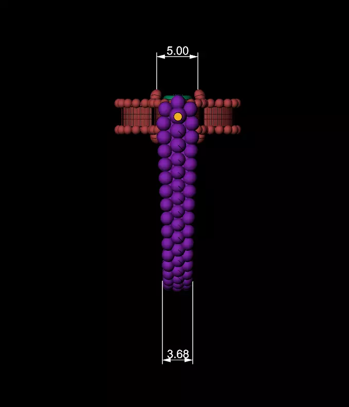 Van Cleef 3D print model_5