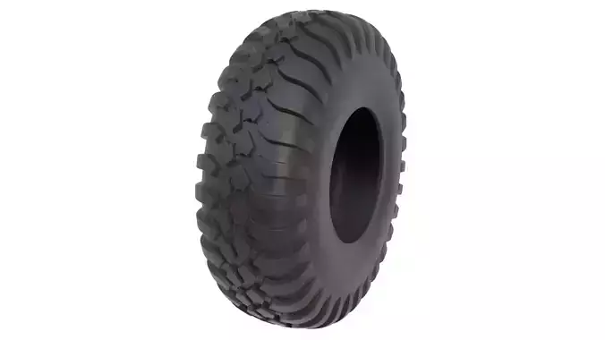 Tire 22