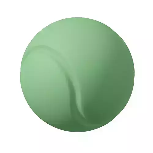 Plastic Sports Ball
