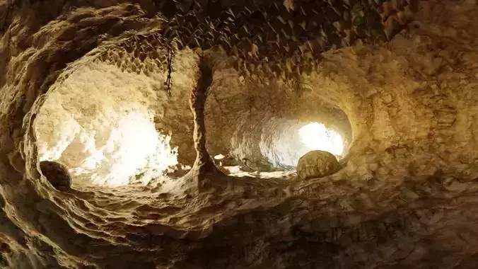 -Cave V13 with Vegetation and Mushrooms and Rocks-