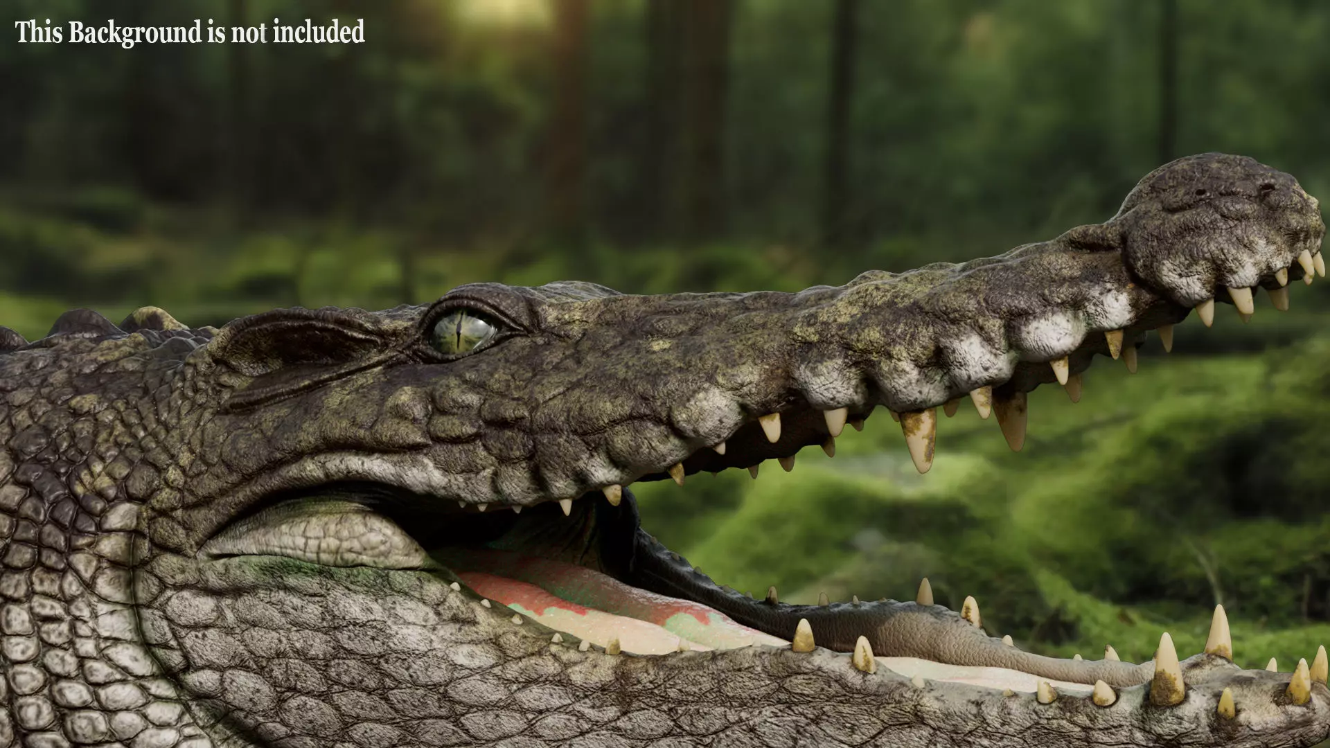 Crocodile 2024 3D model