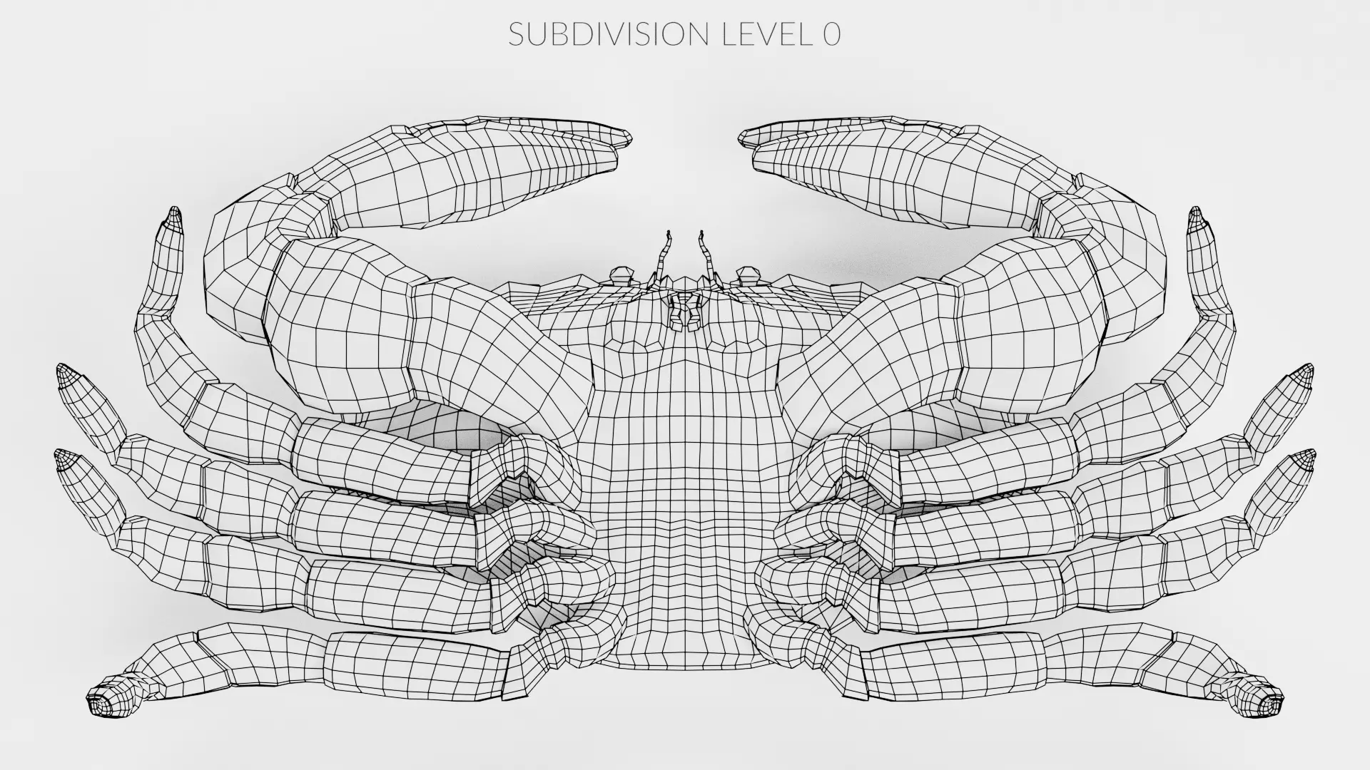 Edible Crab - Realistic Crustacean 3D model_14