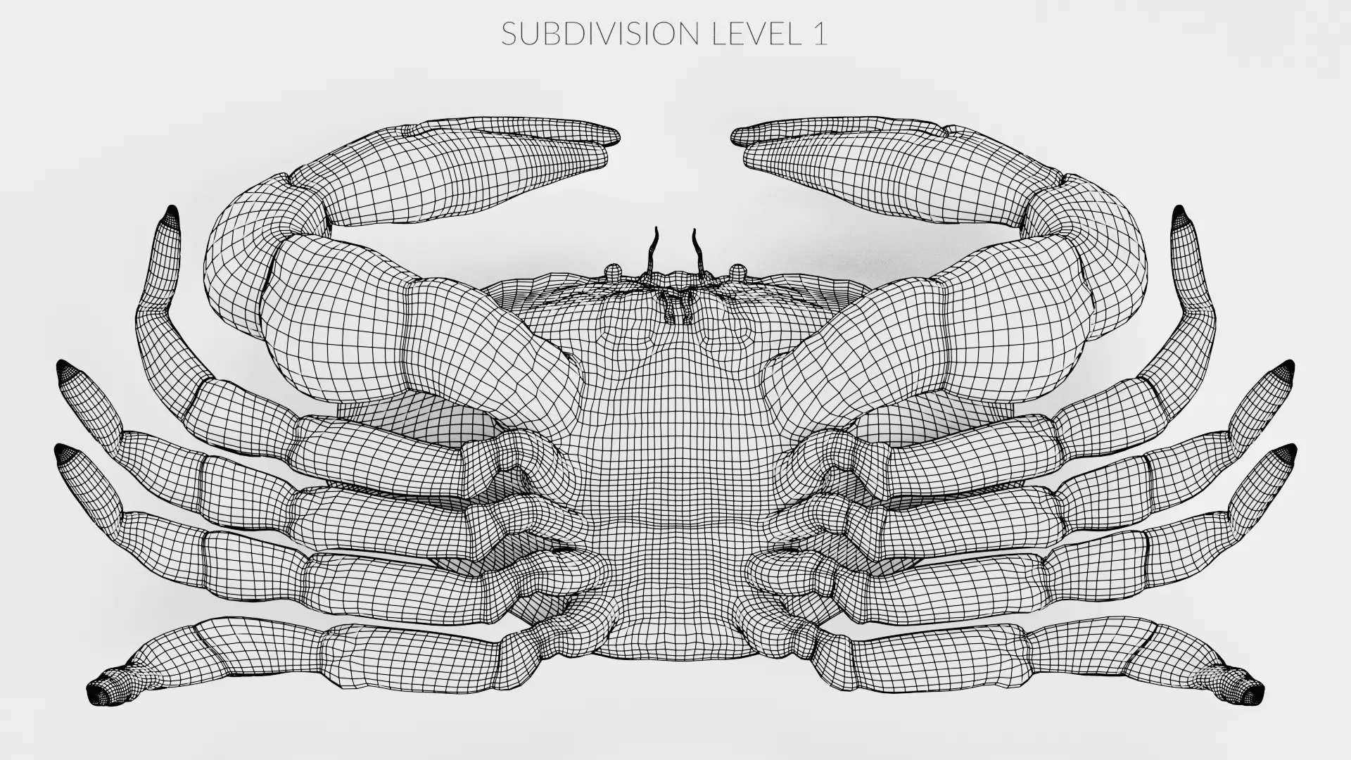 Edible Crab - Realistic Crustacean 3D model_15