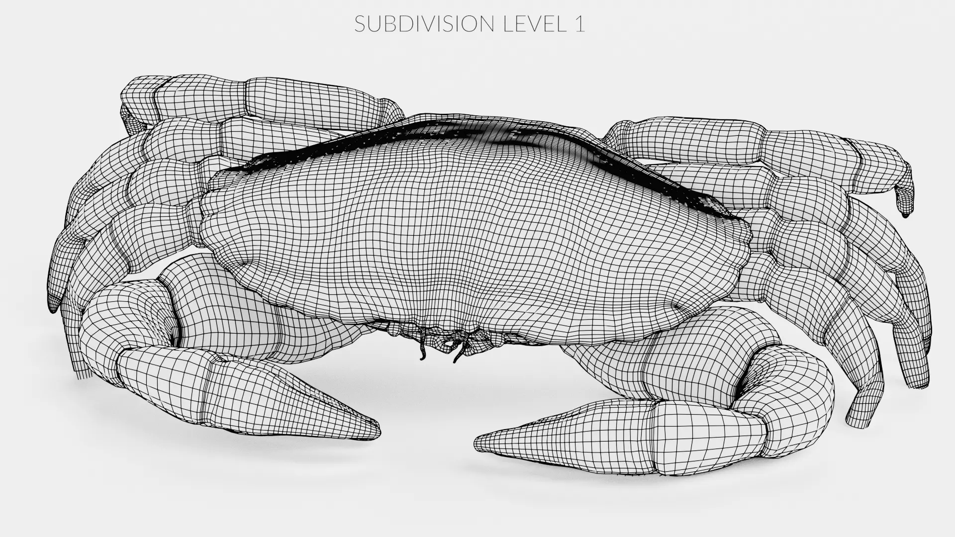 Edible Crab - Realistic Crustacean 3D model_17