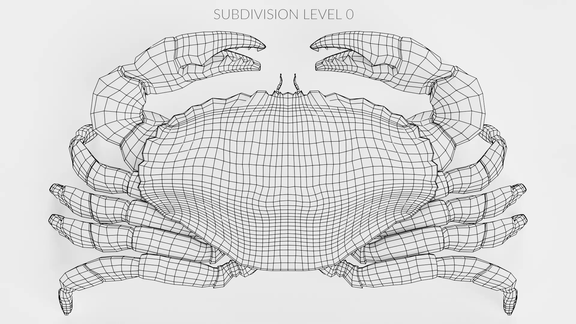 Edible Crab - Realistic Crustacean 3D model_12