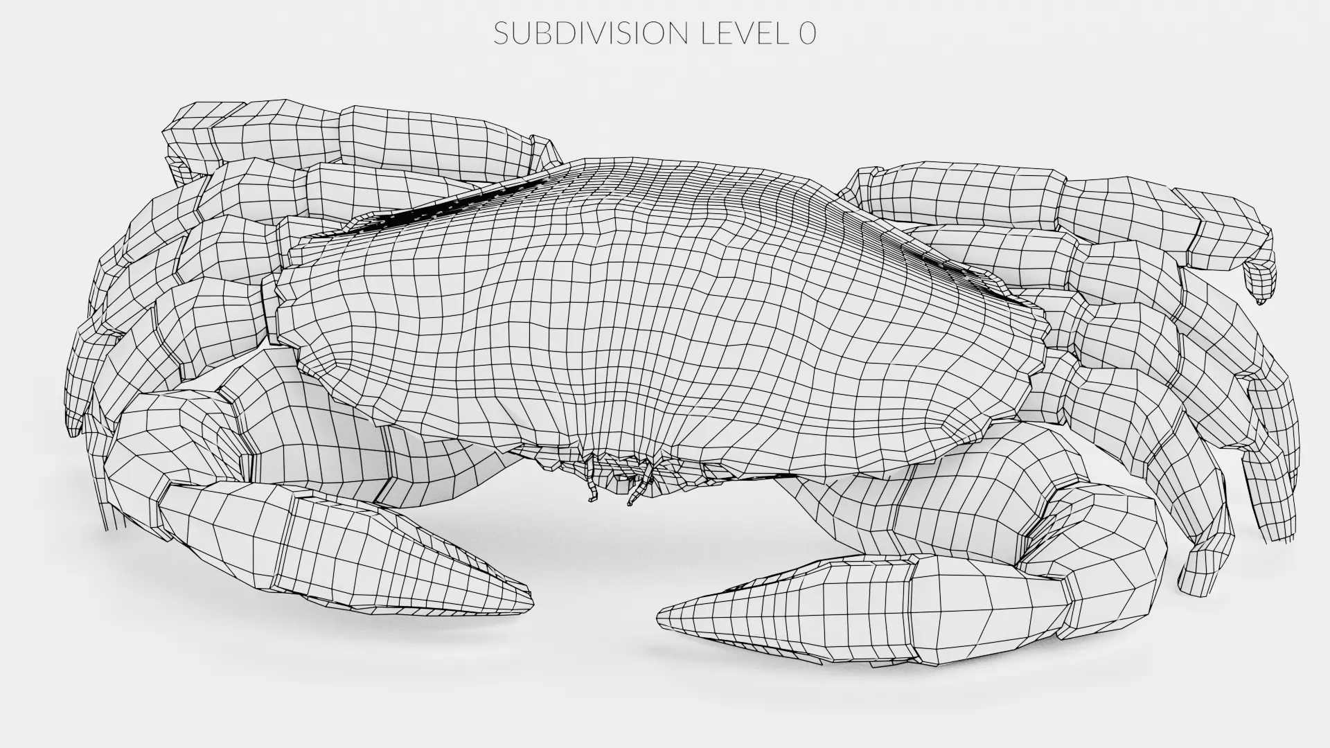 Edible Crab - Realistic Crustacean 3D model_16