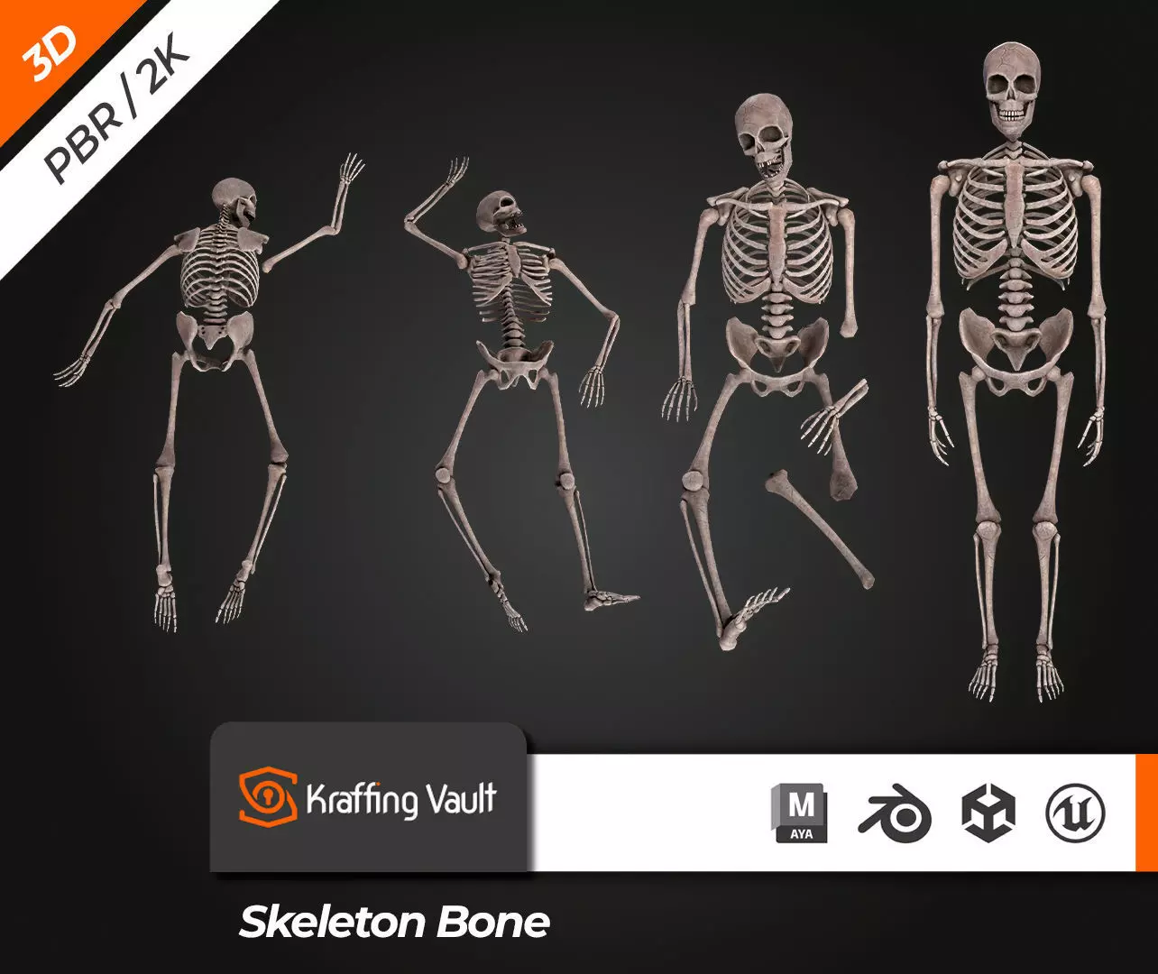 Skeleton Bone Low-poly 3D model