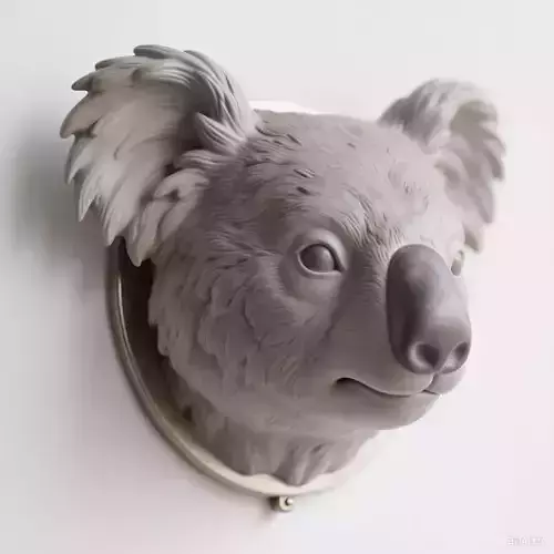 koala