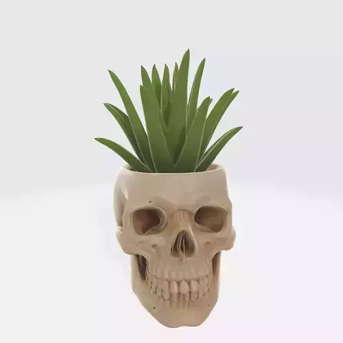 Skull Plant Pot 5