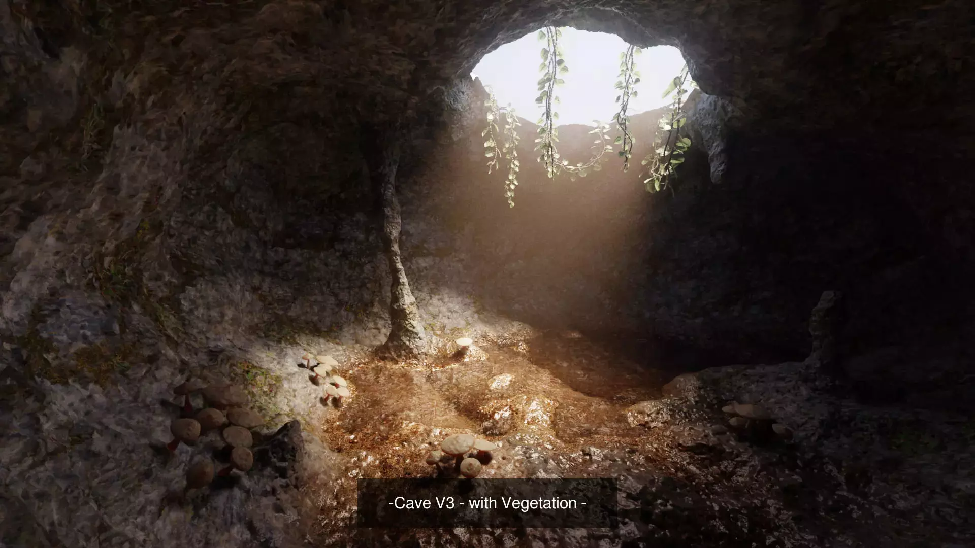 -Caves with Vegetation- 3D Model Collection_3