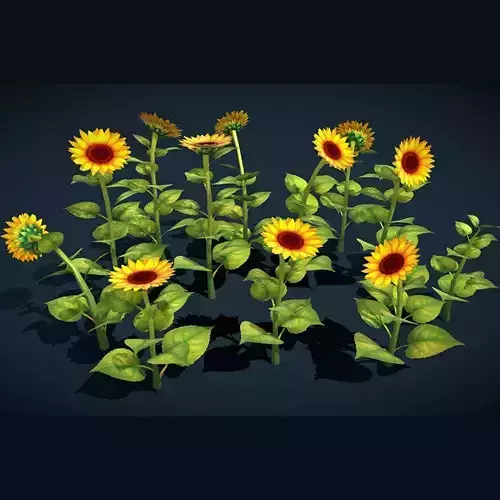 Stylized Sunflower Pack