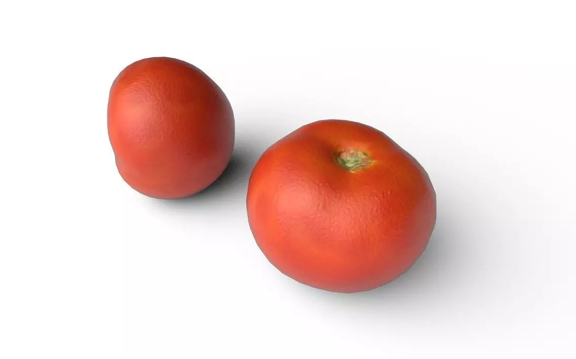 Tomato M01 Low-poly 3D model_5