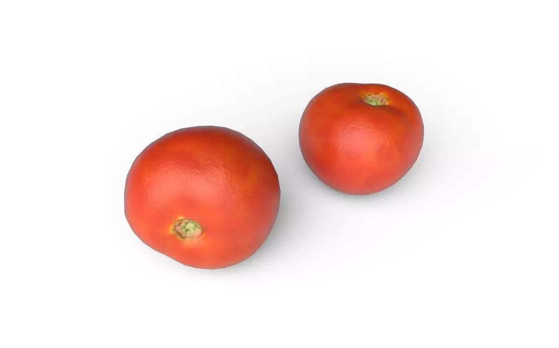 Tomato M01 Low-poly 3D model_4