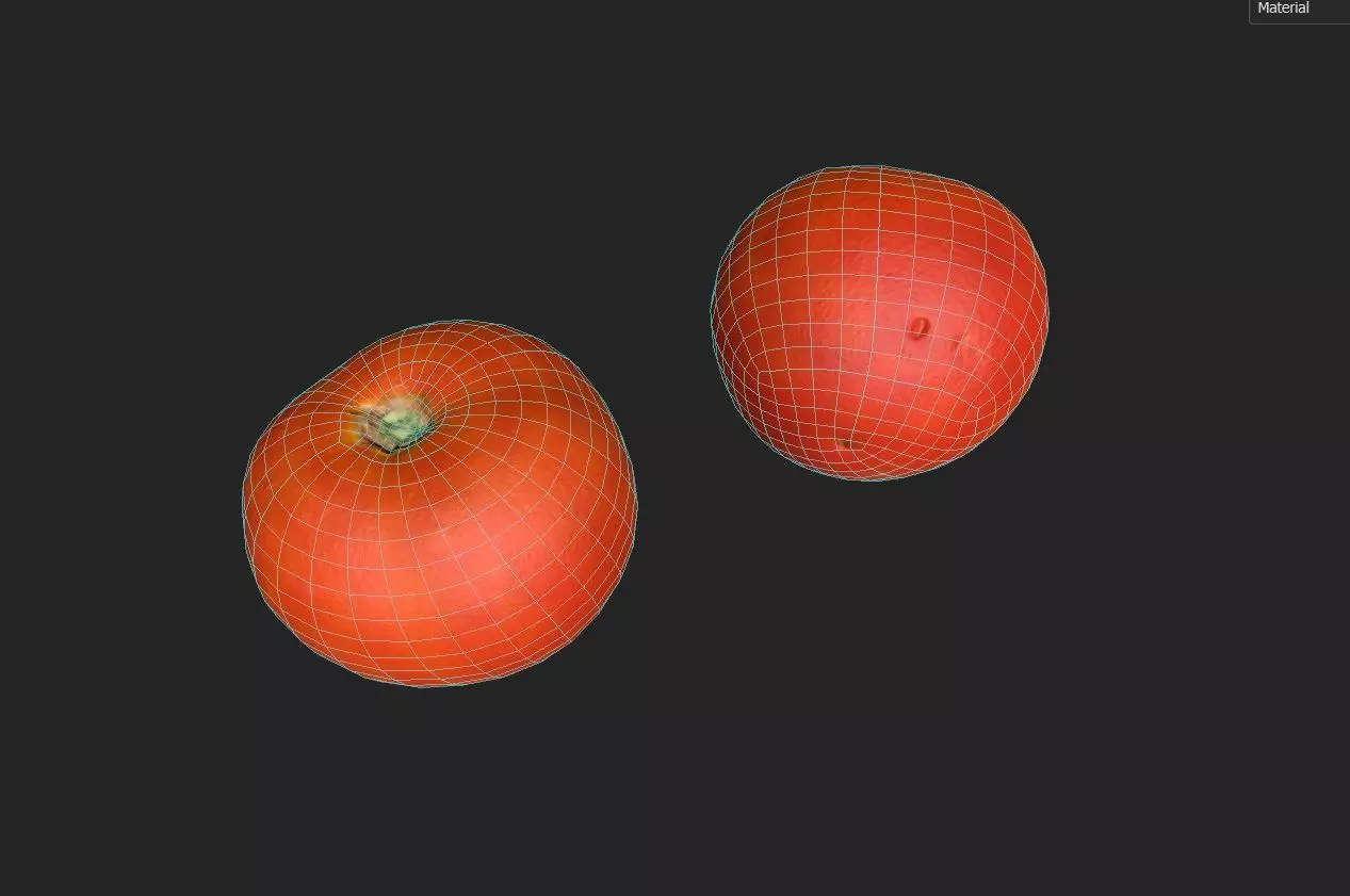 Tomato M01 Low-poly 3D model_1