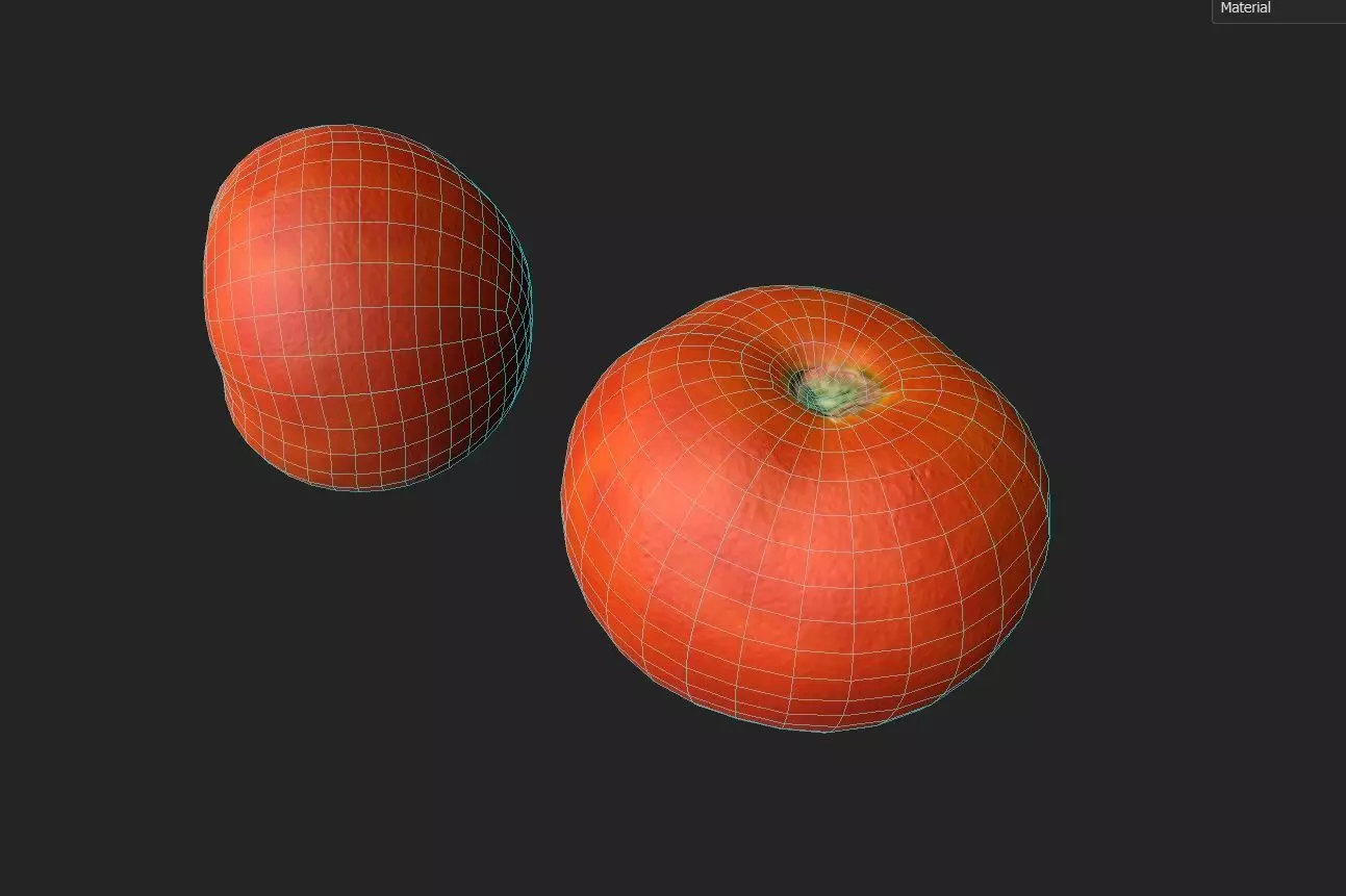 Tomato M01 Low-poly 3D model_6