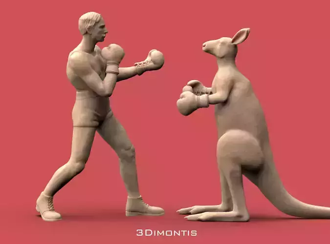 Boxer vs Kangaroo