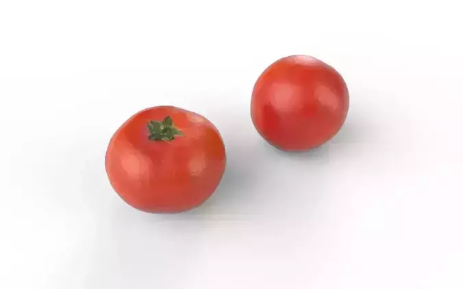 Tomato M02