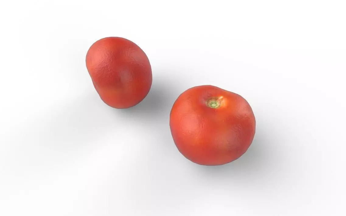 Tomato M03 Low-poly 3D model_5