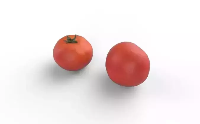 Tomato M04 Low-poly 3D model 4