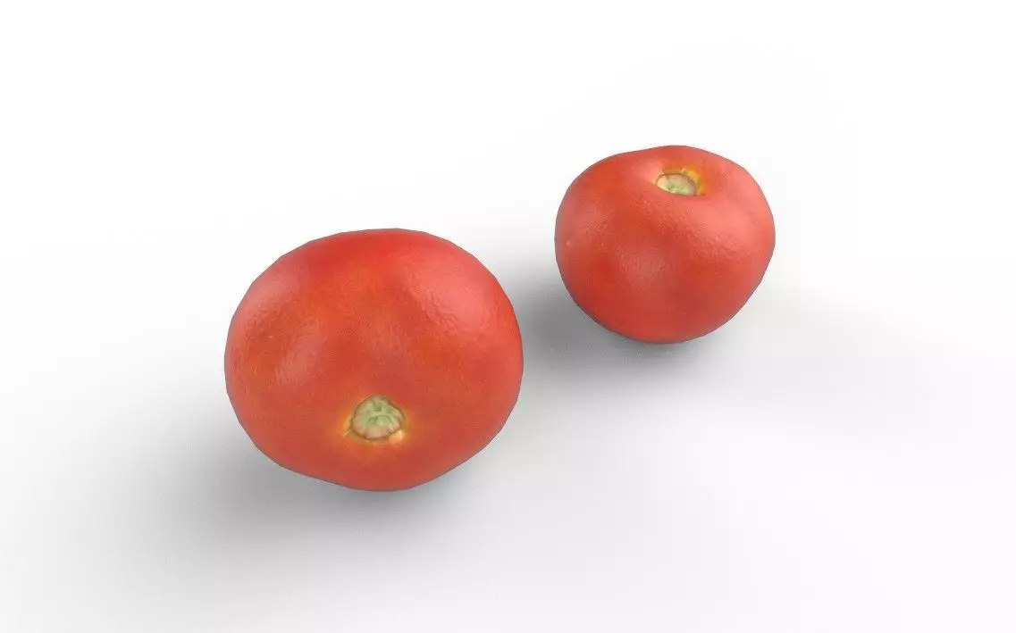 Tomato M06 Low-poly 3D model_4