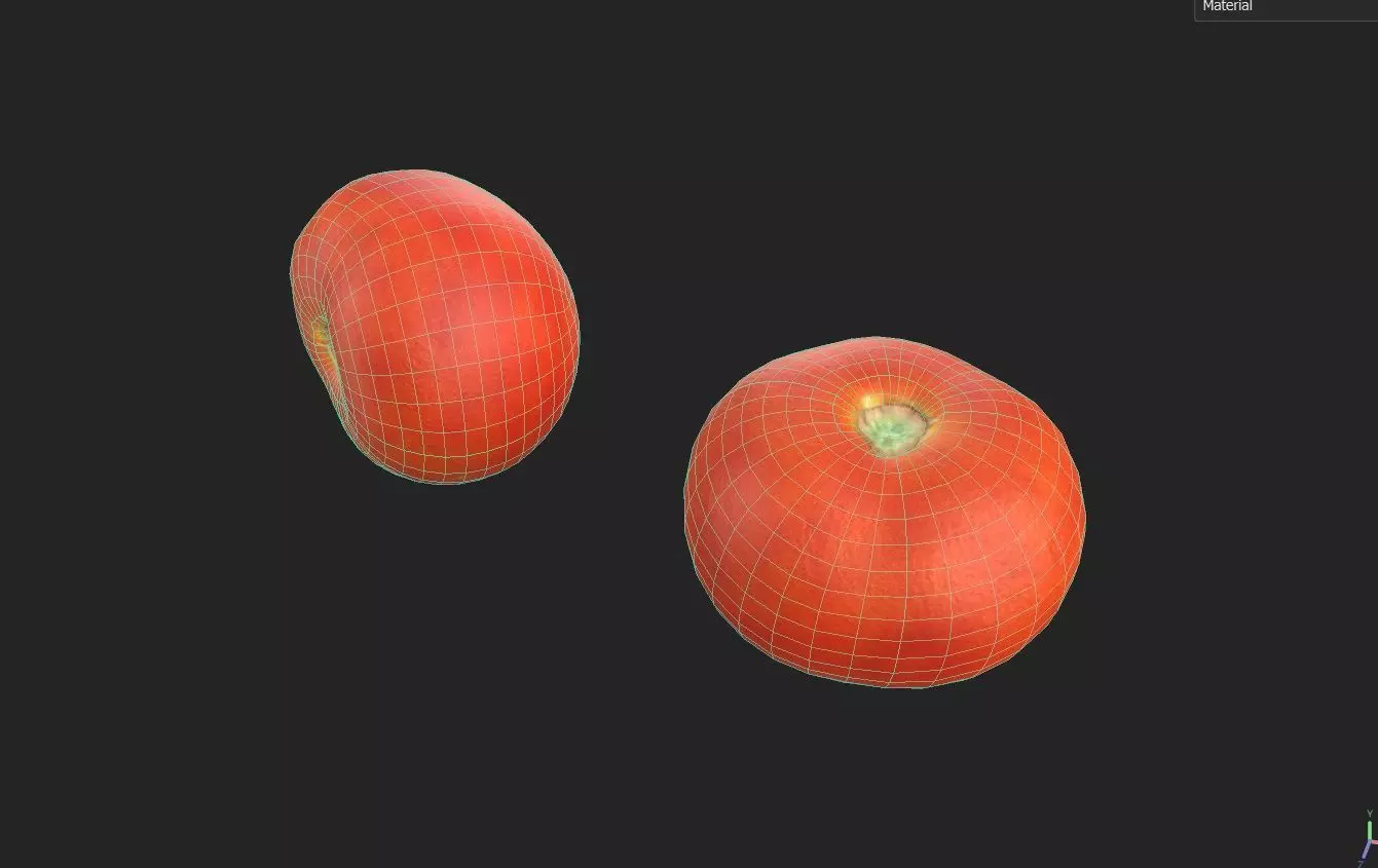 Tomato M06 Low-poly 3D model_6