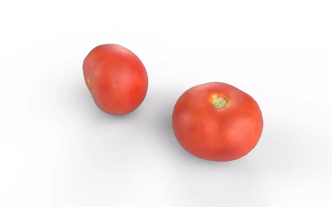 Tomato M06 Low-poly 3D model_5