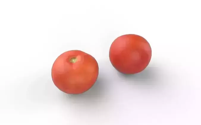 Tomato M07