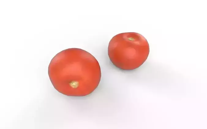 Tomato M08 Low-poly 3D model 5