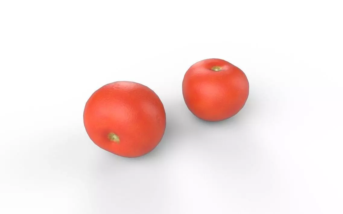 Tomato M09 Low-poly 3D model_4
