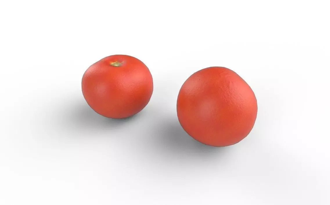 Tomato M09 Low-poly 3D model_3