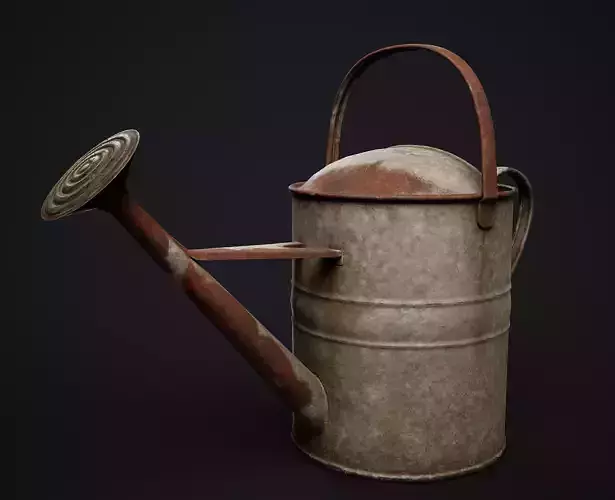 Old Watering Can