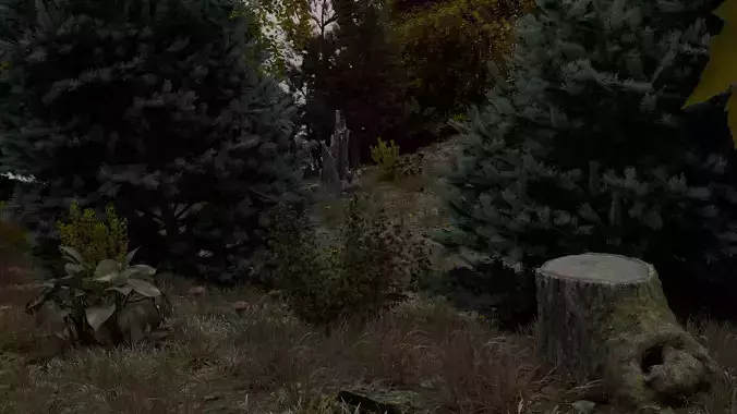  Realistic forest
