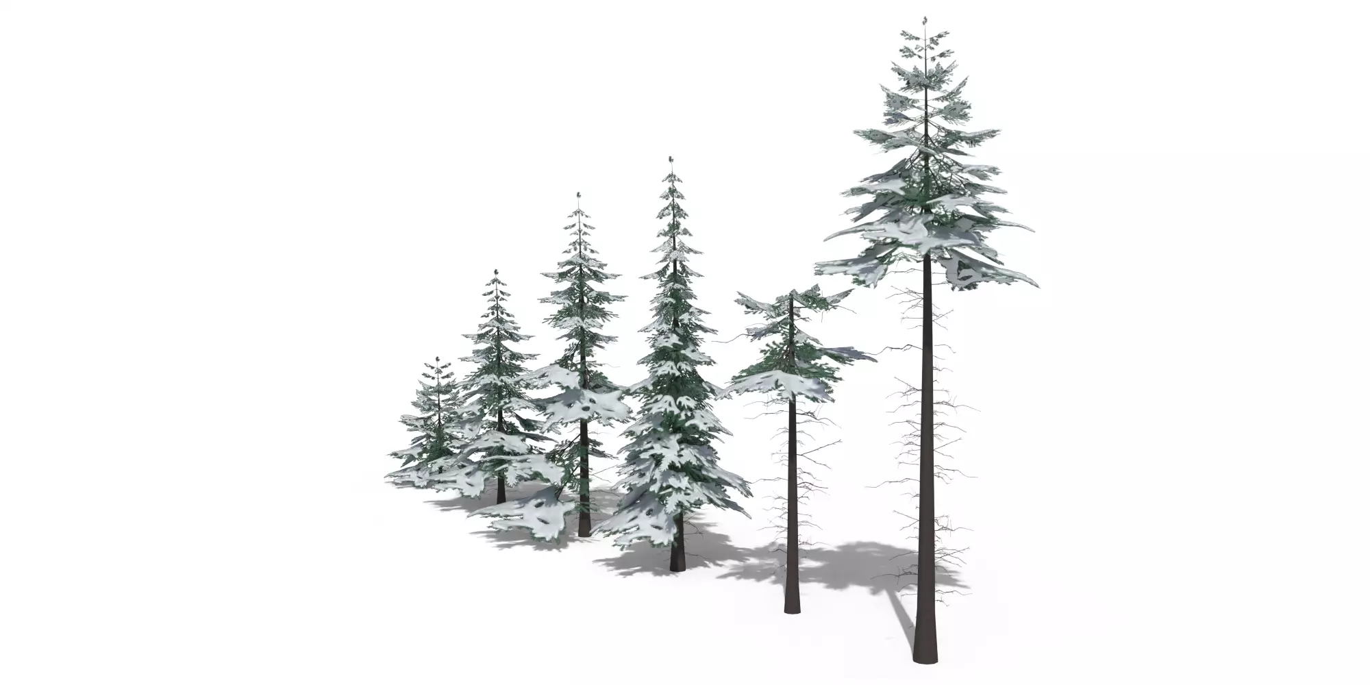 Low Poly Snowy Spruce Tree Pack Free low-poly 3D model_2