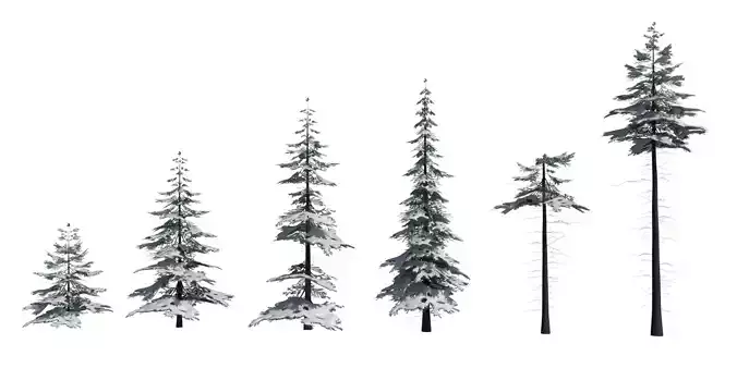 Low Poly Snowy Spruce Tree Pack