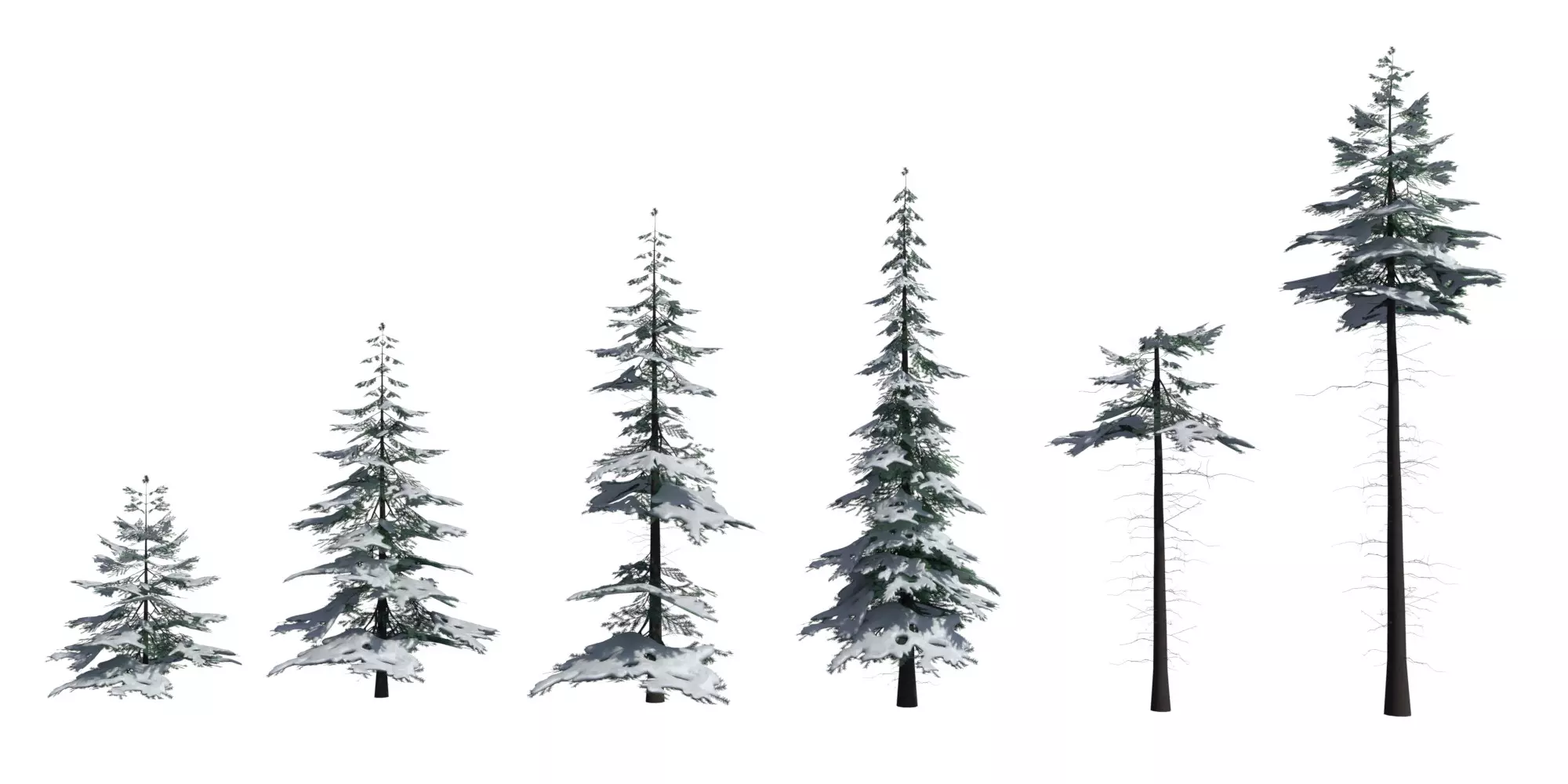 Low Poly Snowy Spruce Tree Pack Free low-poly 3D model_0